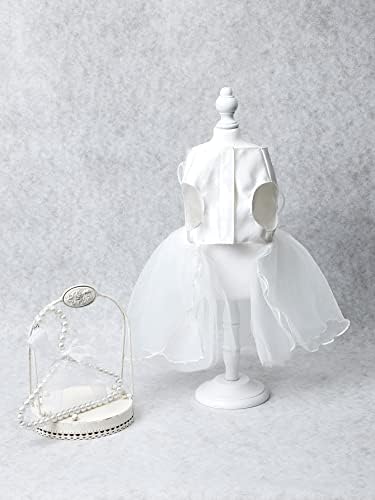 Qwinee bowknot dekorske haljine kontrastne mrežice mače štene princeze haljina male srednje pse maček suknja kostim sandurs bijeli l