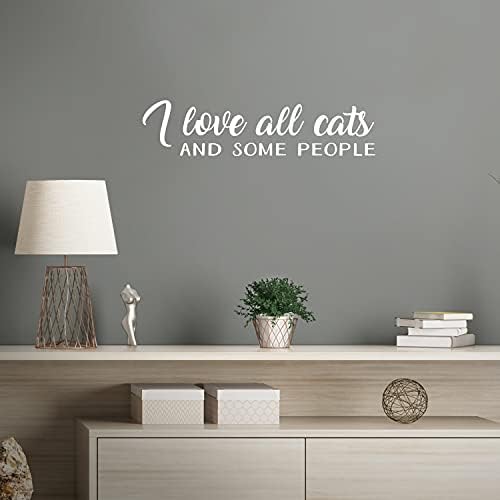 Vinilna zidna umjetnička naljepnica-volim sve mačke i neke ljude-6 x 25 - trendi inspirativna slatka naljepnica s citatom za ljubitelje