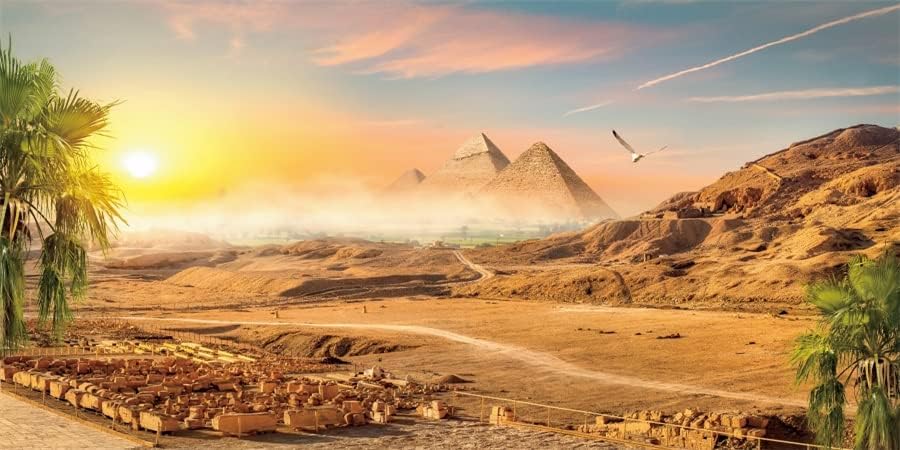 Yeele 20x10ft piramida pustinja pozadina kokosovo drveće sunce priroda slikovita fotografija pozadina drevna civilizacija Zemlja Egipat