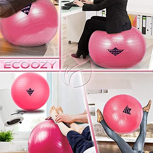 Kugla za vježbanje sa plimnim opsezima - Birthing Ball za trudnoću ružičasta 65 cm sa klizačima od jezgre Pink uže za skok za trening za trening vježbanje i vežbama za trening-torba