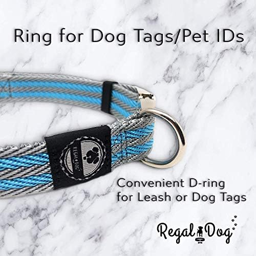 Regal za pse proizvode Veliki plavi / sivi ovratnik za kućne ljubimce s metalnom kopčom i D prstenom | Izdržljiv podesivi ovratnik