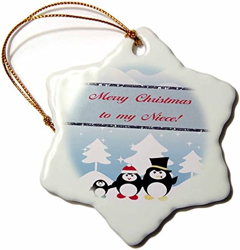 3drose orn_167325_1 porodica pingvina u zimskom danu, Sretan Božić,nećaka-ornament pahuljica, porcelan, 3 inča