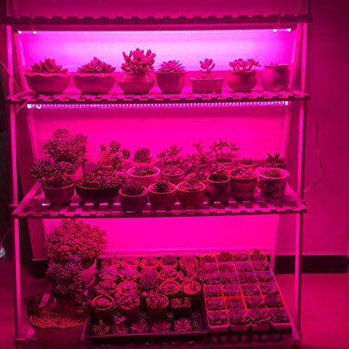 Toika【25 pakovanje】T8 LED svjetla za rast od 4 stope integrisana cijev 4FT 20W, LED svjetlo za uzgoj biljaka integrirano Učvršćenje
