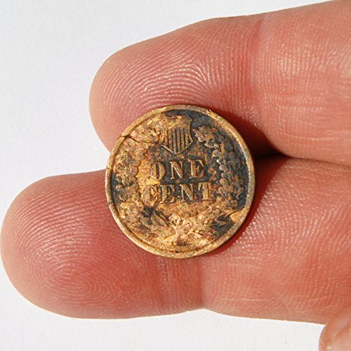 1881 Sjedinjene Američke Države 1 cent Indijski glava Likovni detalji kovanica