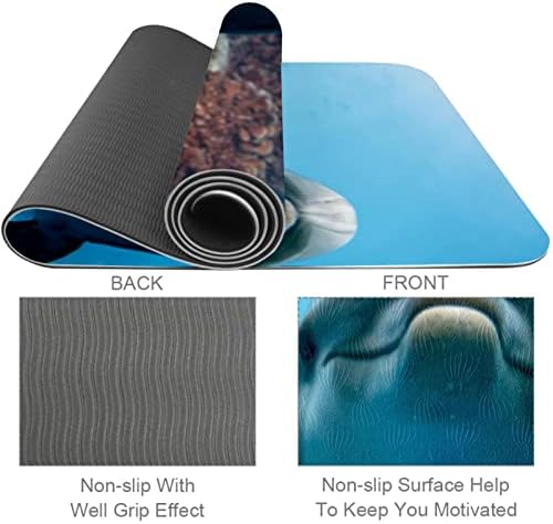 6mm Extra Thick Yoga Mat, Dolphin Portrait Print Eco-Friendly TPE exercise Mats Pilates Mat sa za jogu, trening, Core Fitness i podne