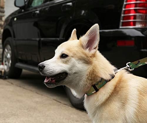 MOOSE kućni ljubimac navratnik za pse - s uzorkovanjem podesivih ogrlica za kućne ljubimce, izrađene u SAD - 3/4 inča široko, mali,