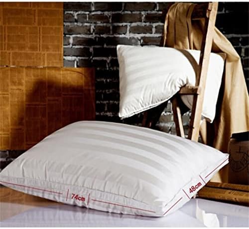 IRDFWH jastuk jastuk jastuk za odrasle mekan jastuk sa slabim jastukom jezgro jezgra domaćin