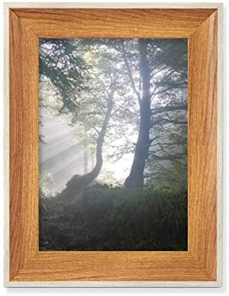 MCJS Green Science priroda krajolik šumarstvo Desktop drveni okvir za fotografije prikaz slike Art Painting više kompleta
